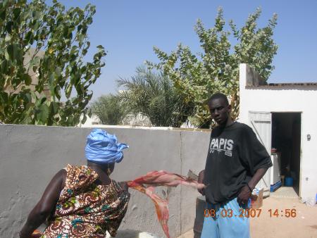 PAPIS EN ACTION!!!!